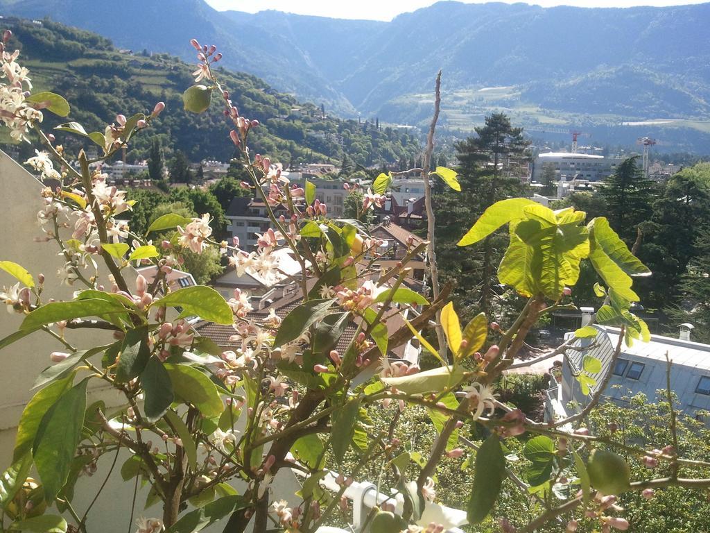 Hotel Lux Merano Pokoj fotografie